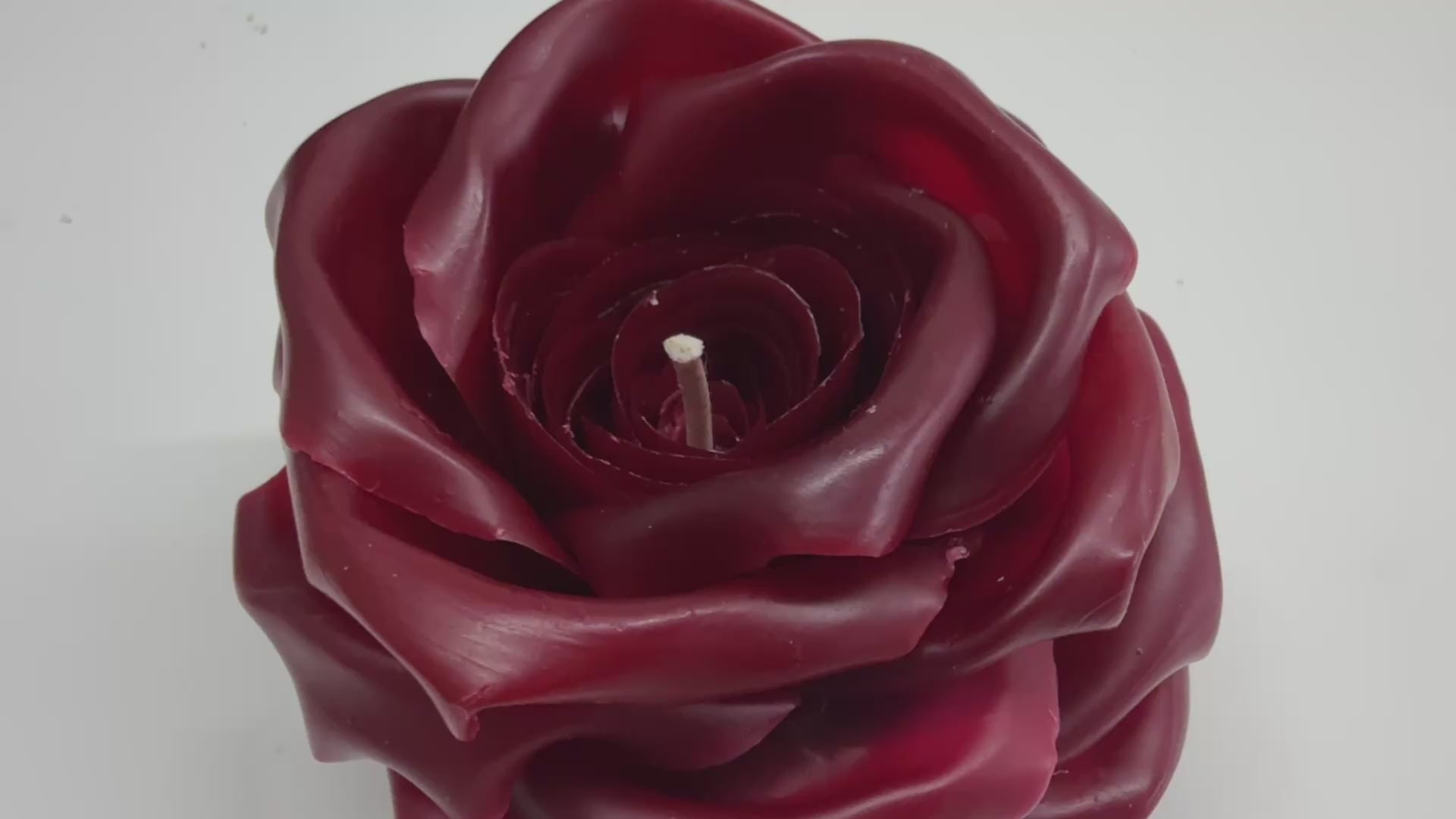 Bloom Grande - Burgundy