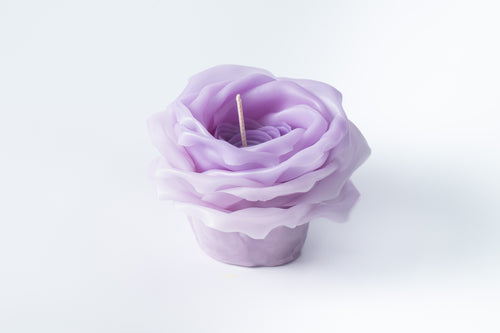 Purple rose candle on a white background